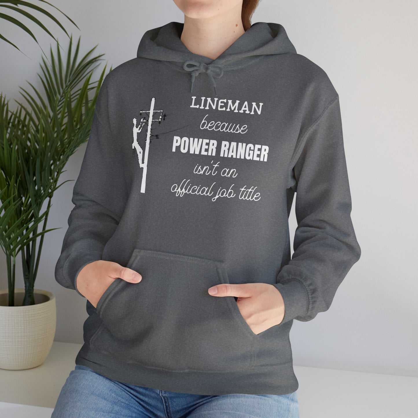 Gildan Hoodie - Power Ranger Isn't an Official Job Title (male)