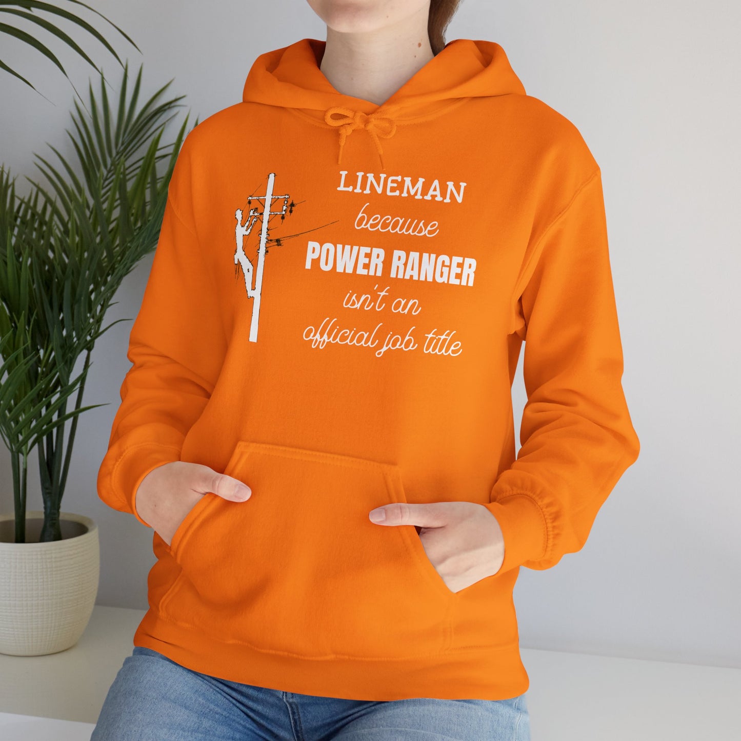 Gildan Hoodie - Power Ranger Isn't an Official Job Title (male)