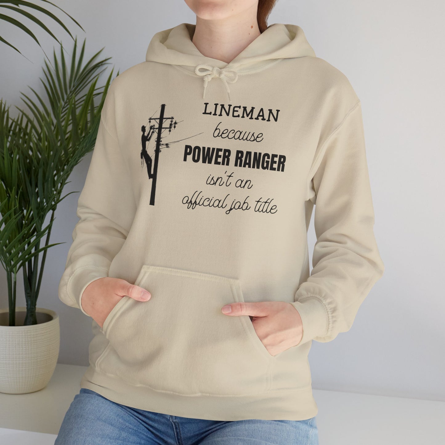 Gildan Hoodie - Power Ranger Isn't an Official Job Title (male)